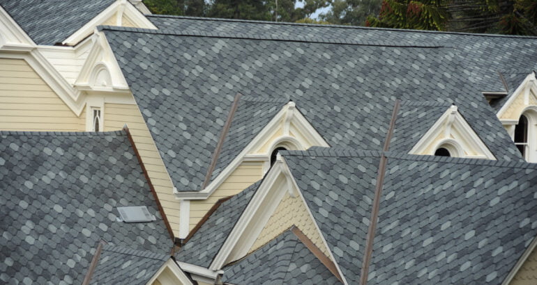 Roof Shingles 101: Your Ultimate Guide with the Most Trusted Contractor in the Business!